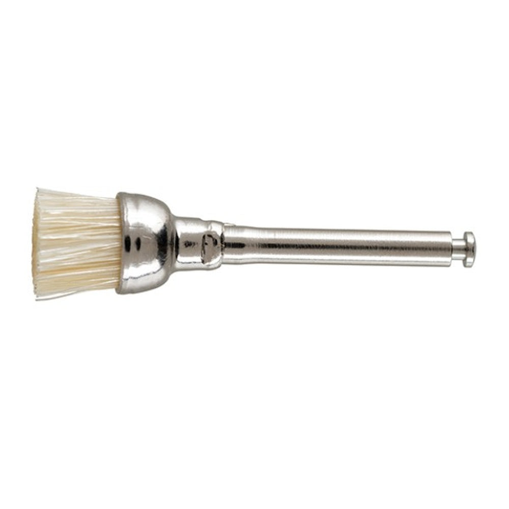 PERFECTION PLUS PROPHY+BRISTLE BRUSHES