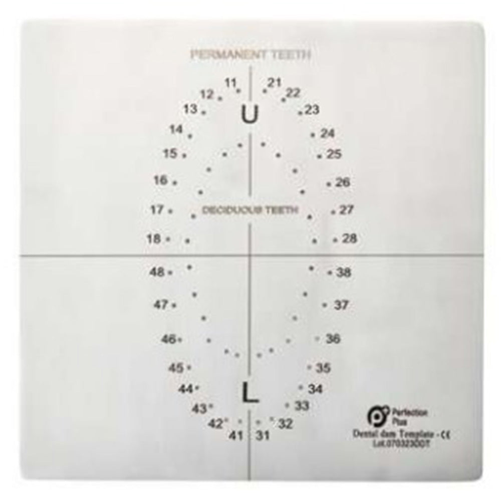 PERFECTION PLUS DENTAL DAM TEMPLATE STAINLESS STEEL