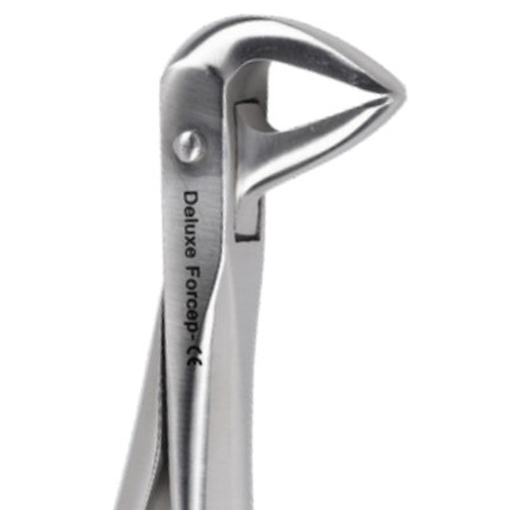 PERFECTION PLUS EXTRACTION FORCEPS DELUXE ADULT
