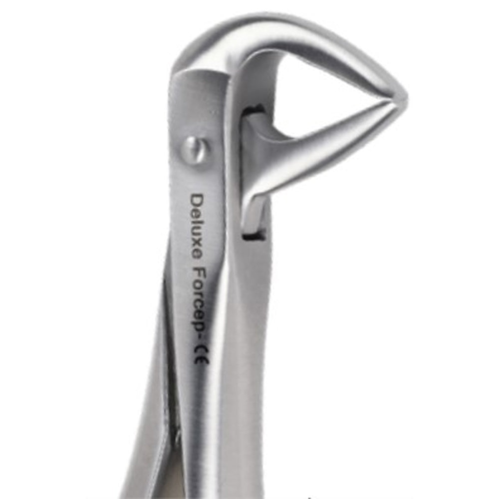 PERFECTION PLUS EXTRACTION FORCEPS DELUXE ADULT