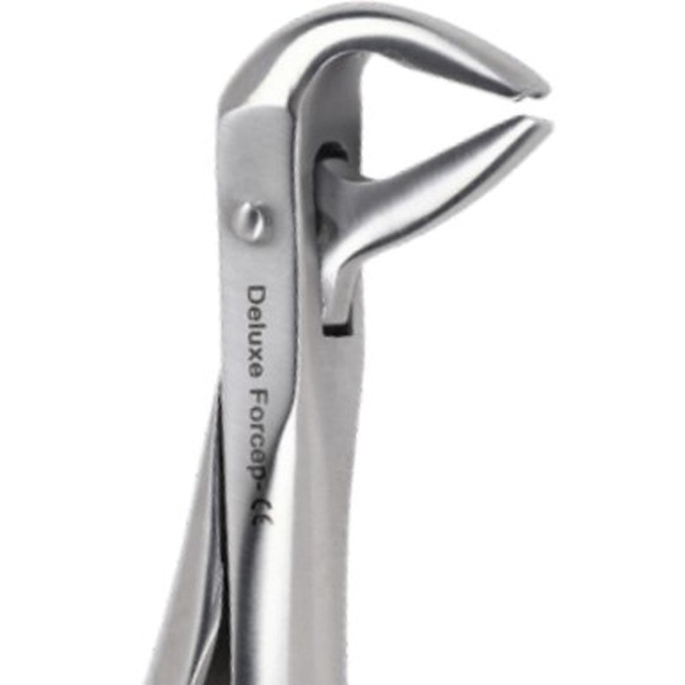 PERFECTION PLUS EXTRACTION FORCEPS DELUXE ADULT