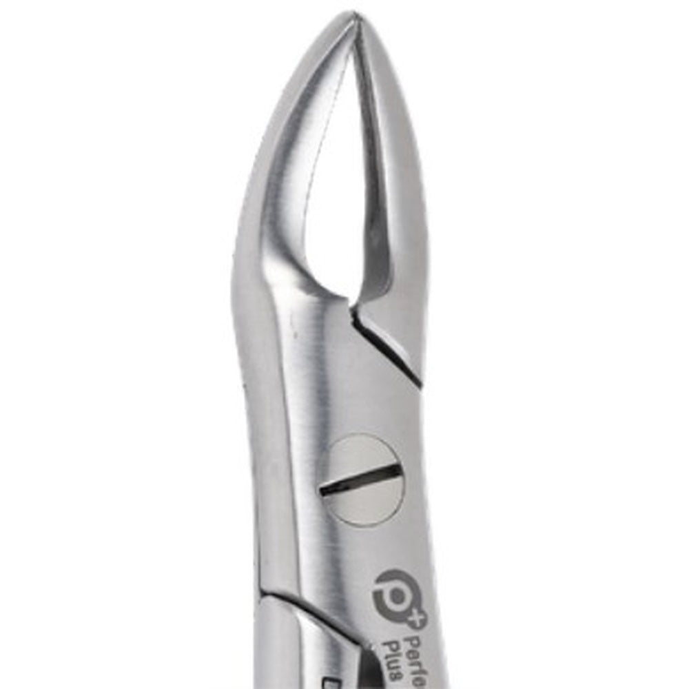 PERFECTION PLUS EXTRACTION FORCEPS DELUXE ADULT