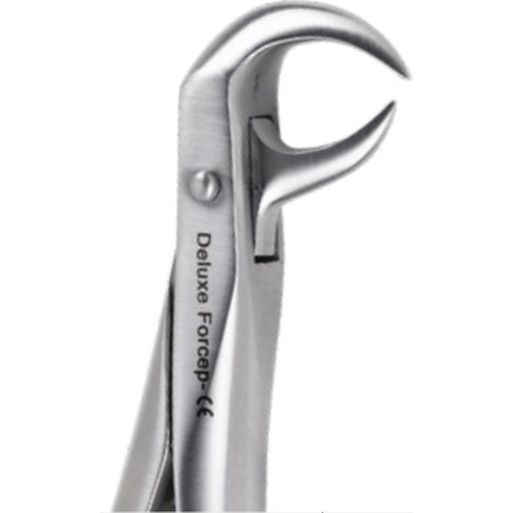 PERFECTION PLUS EXTRACTION FORCEPS DELUXE ADULT