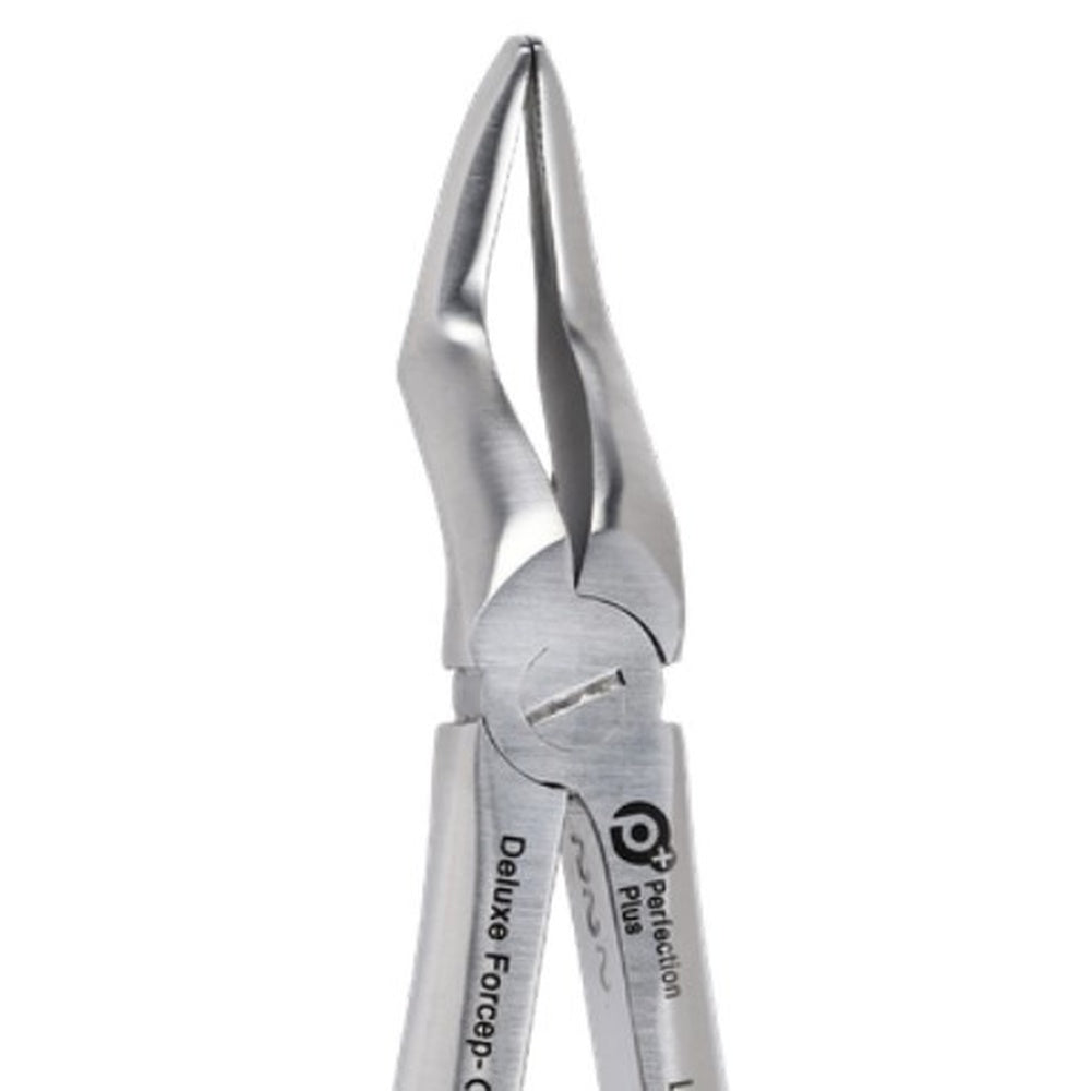 PERFECTION PLUS EXTRACTION FORCEPS DELUXE ADULT