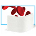 ZIMMER COLLACOTE WOUND DRESSING, 10/PKG (Clearance)